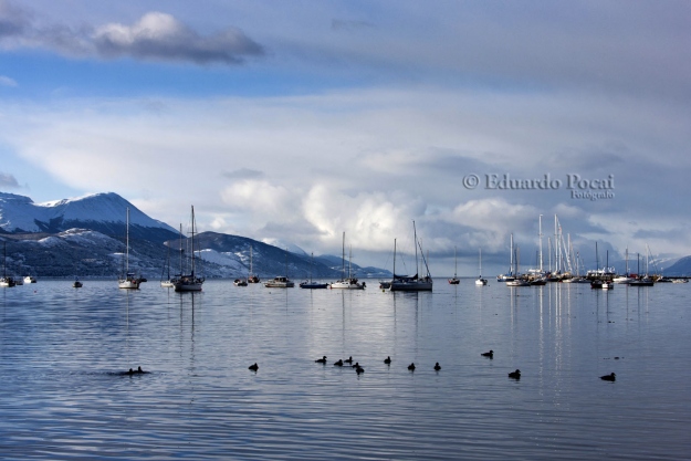 Bahía Ushuaia después de la nevada 2