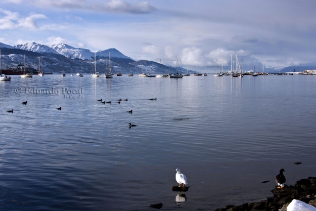 Bahía Ushuaia después de la nevada