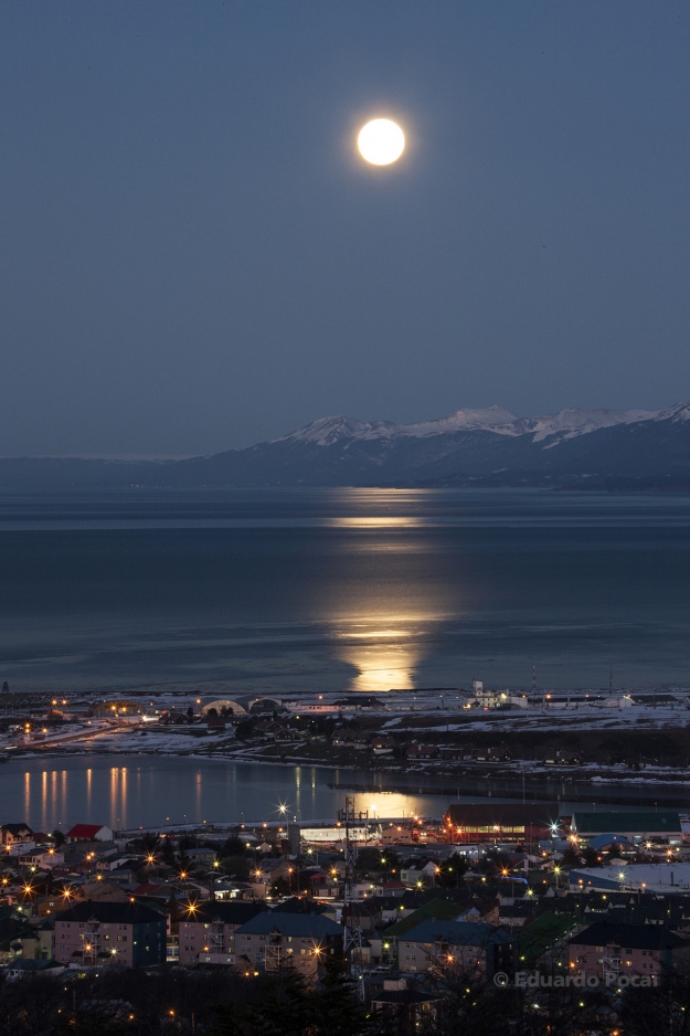 Luna llena, foto vertical