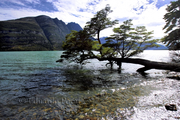 Lago Roca o Acigami 2