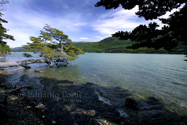 Lago Roca o Acigami