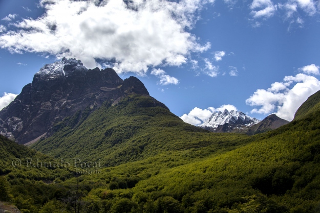 Monte Olivia en verano