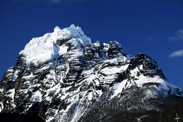 Monte Olivia desde su base