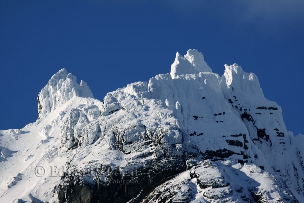 Monte Olivia desde su base