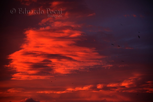 Las nubes del amanecer