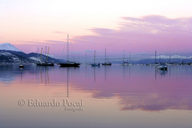 Atardecer rosado