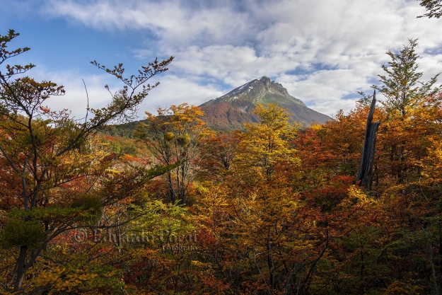 Maravilloso otoño fueguino