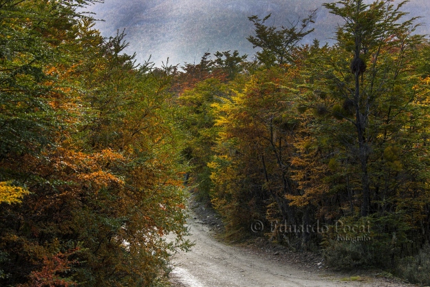 Otoño, lluvia y sol