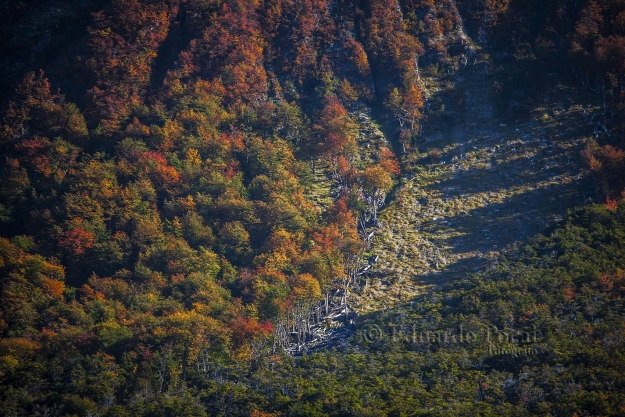 Montes y laderas coloridas