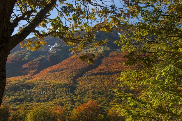 otoño en Tierra del fuego