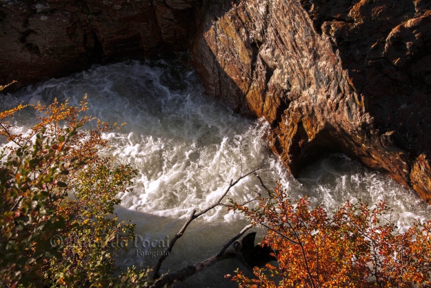 Río Pipo otoño