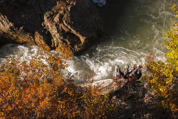 Río Pipo otoño