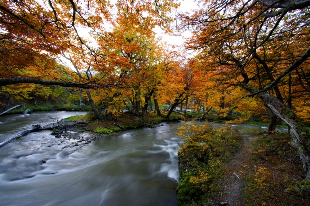 Rio Pipo, meandros