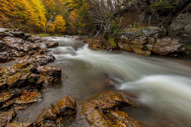 Río Pipo, otoño. 