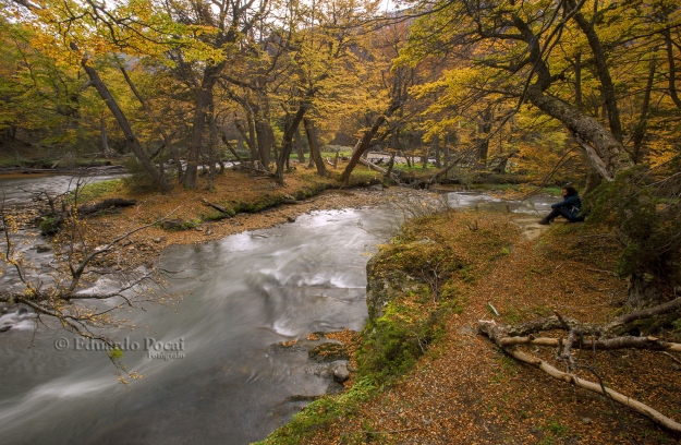 Río Pipo, otoño, meandros