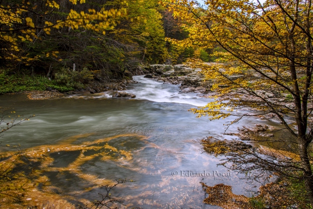 Rio Pipo otoño