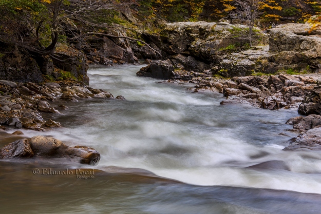 El Río Pipo Baja caudaloso OTOÑO